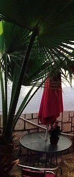 ホテル Bellavista Playa
